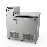 Machine de Congélation Rapide -65°C en 20 Minutes pour Liquides, Durian, Fruits de Mer, Viande – Modèle Commercial et Industriel en Acier Inoxydable Sans Givre