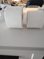 Papier hygiénique jumbo 4 plis, pâte vierge, solide, éco-responsable, usage commercial.