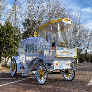 Chariot de luxe électrique de haute qualité en forme de citrouille avec rideau de pluie, chariot royal tiré par des chevaux, chariot de mariage à vendre - Product Image 5