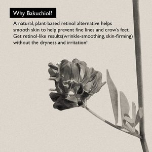 Natürliche Schwarze Reis-Bakuchiol Augencreme Private Label Anti-Aging Falten Feine Linien Augenringe Entferner Straffende Augencreme Hersteller - Product Image 4