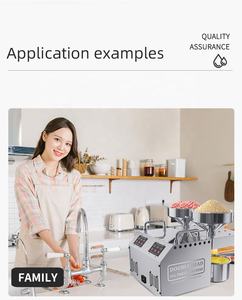 Paslanmaz çelik yeni 2 kafa küçük mini yağ pres makinesi için otomatik pres hardal yağı - Product Image 6