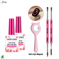 Kit de gel UV pour ongles effet œil de chat brillant à prix compétitif avec 2 pinceaux double embout et 1 bâtonnet magnétique pour salon de beauté