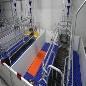Équipement d'élevage de cochon, lit de maternité pour ferme de cochon - Product Image 6