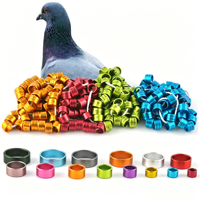Bague personnalisée pour pigeon 2025 – Aluminium de haute qualité, diverses couleurs, pour pigeon de course