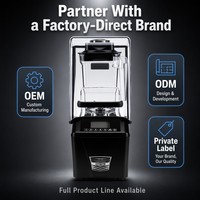 Mixeur Professionnel en Gros pour Distributeurs - Moteur Robuste 1600W 32000 tr/min pour Smoothies et Jus - Tarifs Progressifs