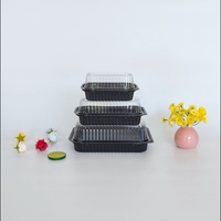 Elegante Einweg-Plastik-Sushi-Box für Catering-Partys und Mahlzeiten zum Mitnehmen