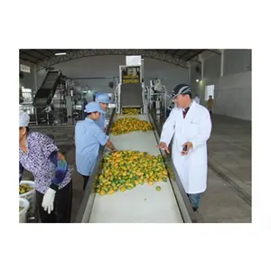 Complet mangue confiture pâte purée usine de transformation