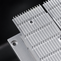Aluminium Alloy 6063 T5 Slotted Fin Heat Sink Extrusion CNC Milling Cross Cut Sawing Radiator untuk Daya Transceiver Optik.
