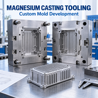 Service de moulage sous pression sur mesure en alliage de magnésium pour boîtiers, supports et cadres avec usinage CNC