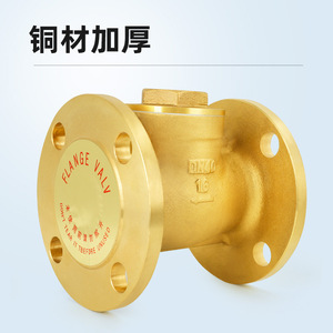 Válvula de Retención de Brida de Latón DN40 H44W-16Tdn100, Accesorios de Válvula de Retención Horizontal Específica para Ingeniería Neumática - Product Image 1