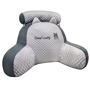 Zomer Koele Achtvormige Taille Ondersteuning Bed Hoofdkussen Schattig Dier Dinosaurus Dolfijn Traagschuim Kussen Comfortabel Pluche - Product Image 1