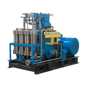 BW INDUSTRY GROUP 100% oil-free ARGON Booster Compressor for sale