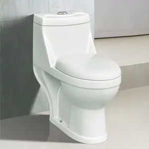 中国浴室配件抽水马桶厕所热水-6632