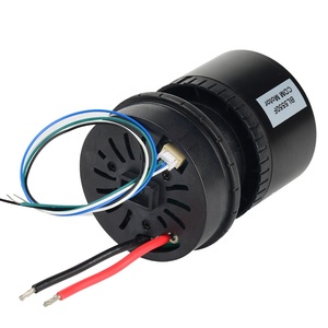 Động cơ không chổi than công suất cao H55 Dc 25.2v 300w cho máy hút bụi - Product Image 2