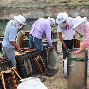 <span class=keywords><strong>Miel</strong></span> Sidr naturel de qualité yéménite pour la cuisson de boissons avec certificat halal - Product Image 5