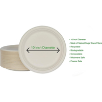 Vaisselle de fête écologique en bagasse de canne à sucre, assiette jetable de 10 pouces, compostable pour les événements