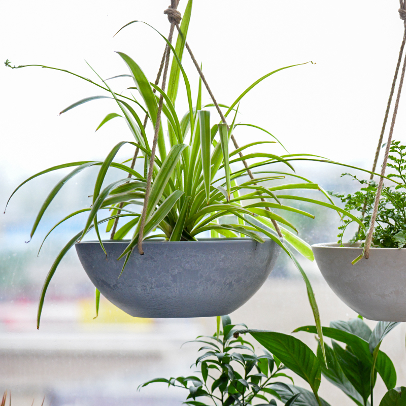 Greenship Balkon hängende Blumentöpfe & Pflanz gefäße selbst bewässernde hängende Blumentöpfe| Alibaba.com