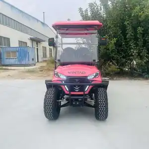 China Cheap Golf Cart 4 Wheel Disc Brake MacPherson Independent Suspensioncheap Electric Golf Carts For Sale