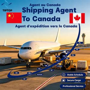 Agente <span class=keywords><strong>de</strong></span> Transporte Aéreo, <span class=keywords><strong>Canadá</strong></span>, Ottawa, Toronto, <span class=keywords><strong>Aeropuerto</strong></span> <span class=keywords><strong>Internacional</strong></span> Pearson, Seguimiento <span class=keywords><strong>de</strong></span> Envíos, Transporte Exprés - Product Image 1