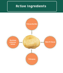 Lions Mane Herbal Natural Powder Lions Mane Extract 30% Beta Glucan 2% Hericenones - Product Image 3