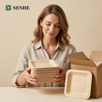 Assiettes carrées jetables en bois biodégradables de qualité supérieure, écologiques, pour les fêtes, avec certification FSC et FDA, vente en gros