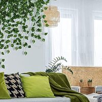 Dropshipping Shopify Artificielle Lierre Verdure Guirlande Vignes Accrocher Plantes Toile de Fond Feuilles pour Jungle Thème Fête Mariage Décoration