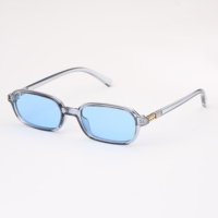 Lunettes de soleil étroites tendance OEM, protection UV400, monture PC à bord complet, verres AC, couleurs Pantone disponibles, utilisation extérieure, unisexe adulte