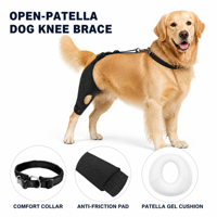Orthèse réglable pour genou de chien ACL, support rotulien creux antidérapant pour la rééducation des pattes arrière, OEM ODM, approvisionnement en gros