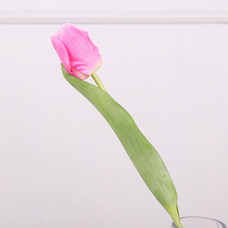 พีชสีชมพู