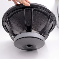 Haut-parleur professionnel de haute qualité 15 pouces, woofer en ferrite passif/actif 1000W 100dB 40-2000Hz pour scène/extérieur/fêtes