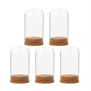 Cúpula de Cristal Pequeña y Económica con Base de Corcho, <span class=keywords><strong>para</strong></span> <span class=keywords><strong>Regalos</strong></span> de Boda, Exhibición de Juguetes, Decoración del Hogar y Cafeterías - Product Image 2