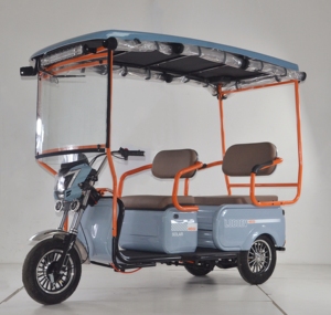 Tricycles électriques solaires à mobilité <span class=keywords><strong>hybride</strong></span> pour personnes âgées avec toit, vélo électrique à <span class=keywords><strong>3</strong></span> <span class=keywords><strong>roues</strong></span> pour passagers - Product Image 4