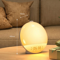 Réveil Lumineux avec Simulation d'Aube, Radio FM, Veilleuse LED à Intensité Réglable et Bruit Blanc pour Dormeurs Profonds (Prise EU/US)
