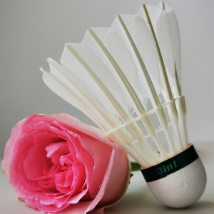 Dmantis D45 mô hình chuyên nghiệp 3in1 cao cấp ngỗng lông cầu lông PU sợi nút chai cho sử dụng chuyên nghiệp - Product Image 4