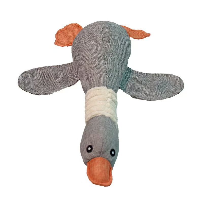 Gray wild goose