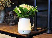 Lampe d'atmosphère led pour café, Vase, décoration d'ambiance, Bar, chambre à coucher