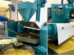 Máquina de prensado de aceite de girasol a buen precio máquina de prensado de aceite frío de nuez alemana a la venta máquina de prensado de aceite de nuez precio - Product Image 5