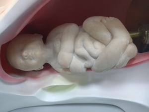 Modèle de cours de livraison pour l'enseignement médical - Product Image 6