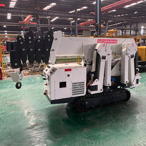 Gru a Ragno Elettrica RST L012 CE EPA EURO 5, Gru di Sollevamento Portatile Cingolata da 3 Tonnellate, Mini Gru a Ragno da 2t 3t 5t 8t - Product Image 3