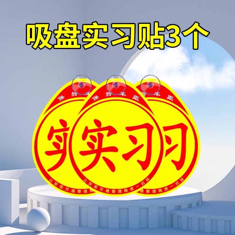 Suction Cup Practice Stickers *3