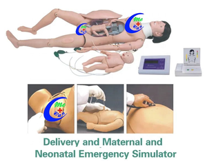 Mecanmedical Fournisseur Unique: Simulateur Avancé de Travail et d'Accouchement, Premiers Soins Mère-Enfant, Mannequin de Soin Maternel et Néonatal - Product Image 2