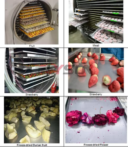 Máquina de liofilización al vacío de fruta de dragón que ahorra trabajo Flysun, equipo de liofilización de frutas, Máquina secadora de mango y fresa - Product Image 4