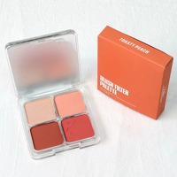 Palette de 4 Fards à Joues Effet Flou, Illuminateurs et Miroir, Fini Mat, Teint Clair, Longue Tenue Toute la Journée - Vente en Gros