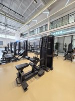 Peralatan Gym Komersial Berkualitas Tinggi Mesin Glute Drive untuk Latihan Kekuatan