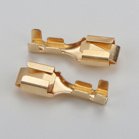 Boerda – Bornes de câblage automobile à sertir en laiton étamé, connecteurs de câble carrés de 6,3 mm², 230 V, modèle DJ621-B6.3