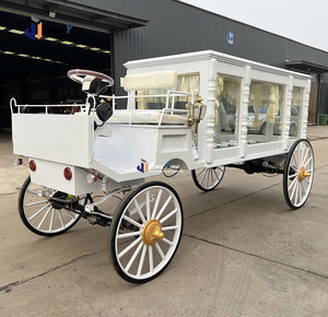 Carroza Fúnebre Eléctrica de Lujo con Adornos Clásicos y Ventanas Decorativas - Product Image 4