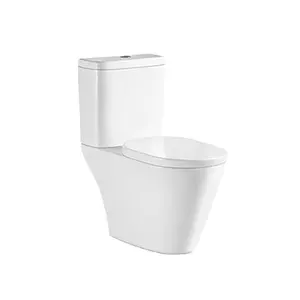 ZHONGYA Chinese Sanitary Ware Bio Modern Ceramic Gravity Flushing bath 2 piece toilet