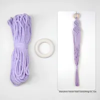 Bestseller Makramee-Set Mini-Pflanzenaufhänger DIY Clove Hitch Hohlnetz Quaste Hängetopf Heimdekoration Tutorial