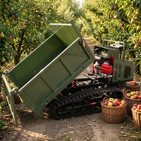 Mini Dumper Cingolato Compatto Cinese 500kg 800kg 1 Tonnellata Diesel 4x4 Telecomandato Multiuso per Silvicoltura e Giardinaggio