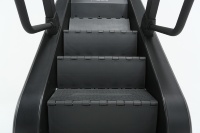 Équipement de fitness LAND : Simulateur d'escalade/Stair Climber, Appareil d'exercice cardiovasculaire à vendre